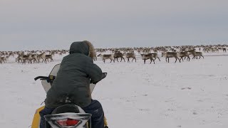 Caribou hunting in Canadas Arctic Arviat Nunavut [upl. by Tiffanle839]