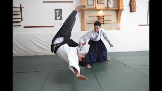 Aikido con LEO SAKANASHI [upl. by Ettenot]