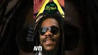 Dennis Brown Mix [upl. by Iliak]