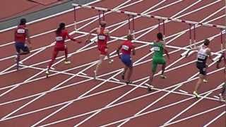 110m Hurdles  Slow Motion  London 2012 Olympic Games  Athletics [upl. by Nosreve613]