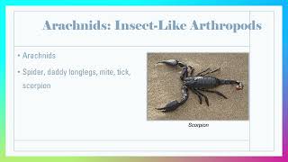 Biology Week 5 B Arthropods Part 2 [upl. by Spiros]