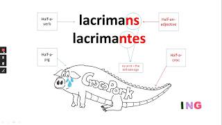 GCSE Latin Present Participles [upl. by Hirai]