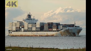 SAFMARINE BENGUELA  Shipspotting Germany 🇩🇪 IMO 9355367  River Elbe near City Otterndorf 4K VIDEO [upl. by Solitta652]