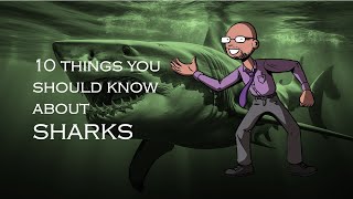 10 Things You Should Know About SHARKS [upl. by Pease]