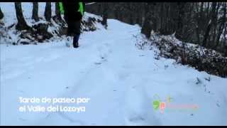 Tarde de paseo por el Valle del Lozoya en invierno [upl. by Lleval882]