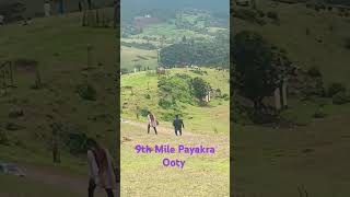 9th mile Shooting spot  Payakra OotyTamilnaduootytrip with my familyootytouristplaces [upl. by Jeremias]