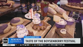 Knotts Berry Farm Boysenberry Festival [upl. by Enreval929]