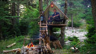 Bushcraft Camping in the Wilderness with My Dog  Building a Survival Shelter [upl. by Haleeuqa755]