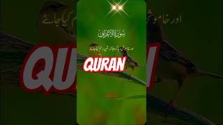 Surah in Urdu  quranrecitation qurantranslation ytshort [upl. by Ecirtnas]