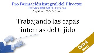 CICLO 6 Micro 1 Trabajando las capas internas del tejido [upl. by Einattirb]