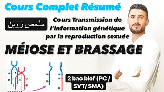 Cours complet Transmission de l’information génétique par la reproduction sexuée Méiose  Brassage [upl. by Namwen]