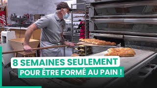 Pain  la guerre des boulangeries low cost  750GTV [upl. by Robinia72]