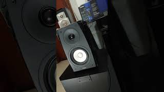 Speaker Yamaha NSBP182 in Instrumental Organ Style [upl. by Khalil]