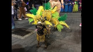 Viaggio alle isole canarie Las Palmas Il carnevale 2 [upl. by Ahseken]