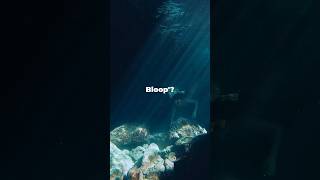 The Bloop Oceans Loudest Mystery Solved 🌊 [upl. by Bernita]