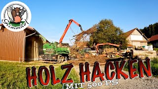 FarmVLOG299  Holzhacken im Sommerloch [upl. by Gwendolyn467]