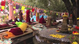 On the Path of the Buddha Buddhist Pilgrimage in North India and Nepal [upl. by Lonier]