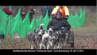 SchlittenhundeRennen quotFrankonia Openquot LaufSchönberg 1920112011 [upl. by Oconnor435]