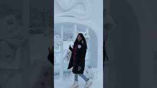 Top 5 things to do in Yellowknife Canada in winter shorts yellowknife canada [upl. by Drais51]