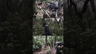 Jalur Pendakian Gunung Gede Via Putri Sangat Menantang [upl. by Asek23]