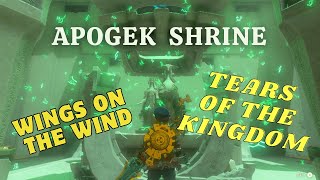 APOGEK SHRINEWINGS ON THE WINDTEARS OF THE KINGDOM TUTORIAL [upl. by Lokcin]