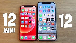 IPHONE 12 MINI VS IPHONE 12  В ЧЕМ РАЗНИЦА КАКОЙ ЛУЧШЕ ВЫБРАТЬ ПОЛНОЕ СРАВНЕНИЕ [upl. by Maitund326]