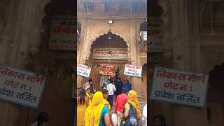 Banke Bihari Mandir Vrindavan bakebihariji shots hindutemple viralshort travel [upl. by Nnayelhsa]