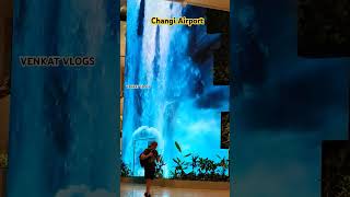 Changi Airport Part 9  shorts singapore trending travel youtubeshorts vlogger singaporelife [upl. by Bolme59]