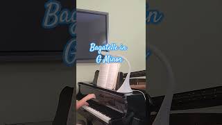 Bagatelle in G Minor piano beethoven [upl. by Harpp503]