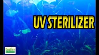 How To Use A UV STERILIZER Planted Tank [upl. by Anelej]