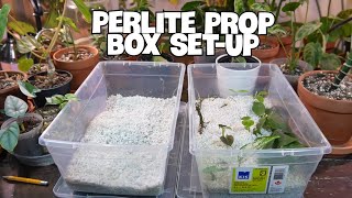 HOW TO SETUP AND MAINTAIN A PERLITE PROP BOX  My Favorite Rooting Method [upl. by Aba263]