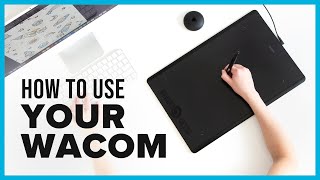 Wacom Tablet Tutorial amp Best Setup for Graphic Designers [upl. by Nomrah921]