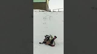 SNOW SLEDDINGwinter snow sledding greenland ilulissat [upl. by Ydorb]