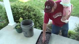 Starting Seeds in Seed Flat  How to Plant Seeds [upl. by Ardnic173]