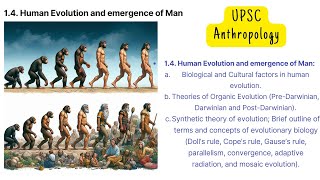 Free Anthropology Lecture Series  Chapter 14 Human Evolution and Emergence of Man for UPSC [upl. by Laden317]