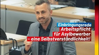 Arbeitspflicht für Asylbewerber jetzt  eigentlich eine Selbstverständlichkeit [upl. by Klara]