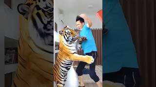 Me and the Tiger Fight [upl. by Bernt]