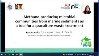 AGUILAR Polette Methane producing microbial communities from marine sediments as a tool for [upl. by Immat]