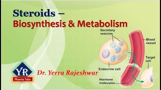 Steroids  Biosynthesis amp Metabolism  Biosynthesis and Metabolism of Steroids  YR Pharma Tube [upl. by Latrina]