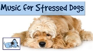 Music to Relax and Soothe your Stressed Dog  Music Therapy for Dogs [upl. by Charmaine]