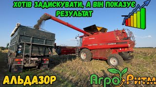 ❌ Хотів ЗАДИСКУВАТИ❌ а він СИПЛЕ👀 Альдазор від Агро Ритм Жнива Соняшника БЕЗ ДОБРИВ 🌻 Економіка 🔥 [upl. by Irehs767]