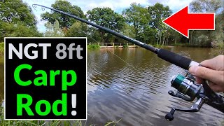 NGT Camo 8ft 2pc Carp Stalker Rods  Tackle Review amp Testing [upl. by Drol]