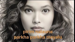 mix Nepali dance song pirim nalauneparkha parkha mayalu dancesong 💃 [upl. by Jemina759]