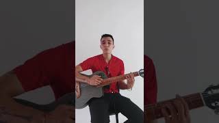 Loco  Felipe Pelaez cover guitarra musica covermusic [upl. by Darian683]