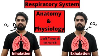 Respiratory system anatomy and physiology  Structure  Organs  Functions  Hindi [upl. by Leroj909]