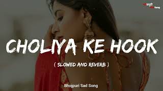 choliya ke hook raja ji  slowed reverb  full song arvindakelakallu bhojpurisadsong [upl. by Leuqcar]