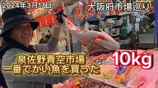 【大阪府】泉佐野青空市場10kgのブリを買う [upl. by Noraj]