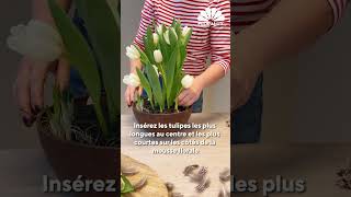 Floralux DIY Le printemps dans un pot de fleurs [upl. by Einnol]