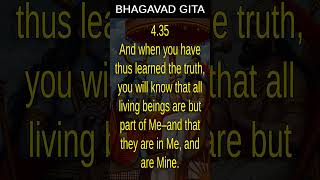 Bhagavad Gita 435 [upl. by Haroppizt]