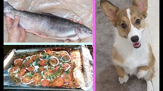 Fast amp Easy 20 Minute Oven Baked Trout Recipe Запеченная Форель рецепт [upl. by Markson]